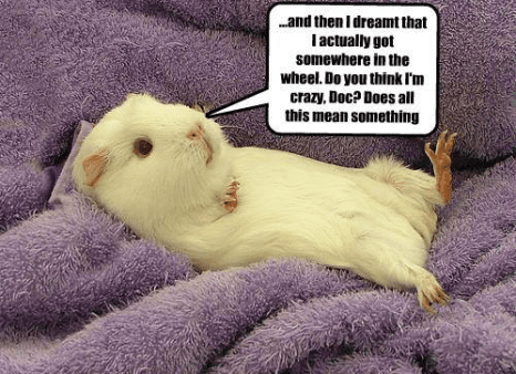 and-thenidreamt-that-i-actually-got-somewhere-in-the-wheel-14316737